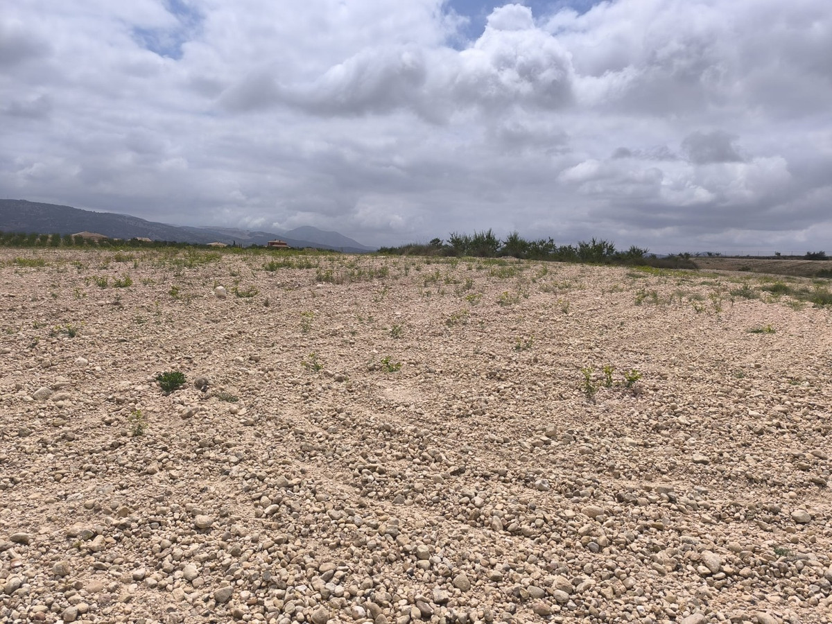 Property main view 14