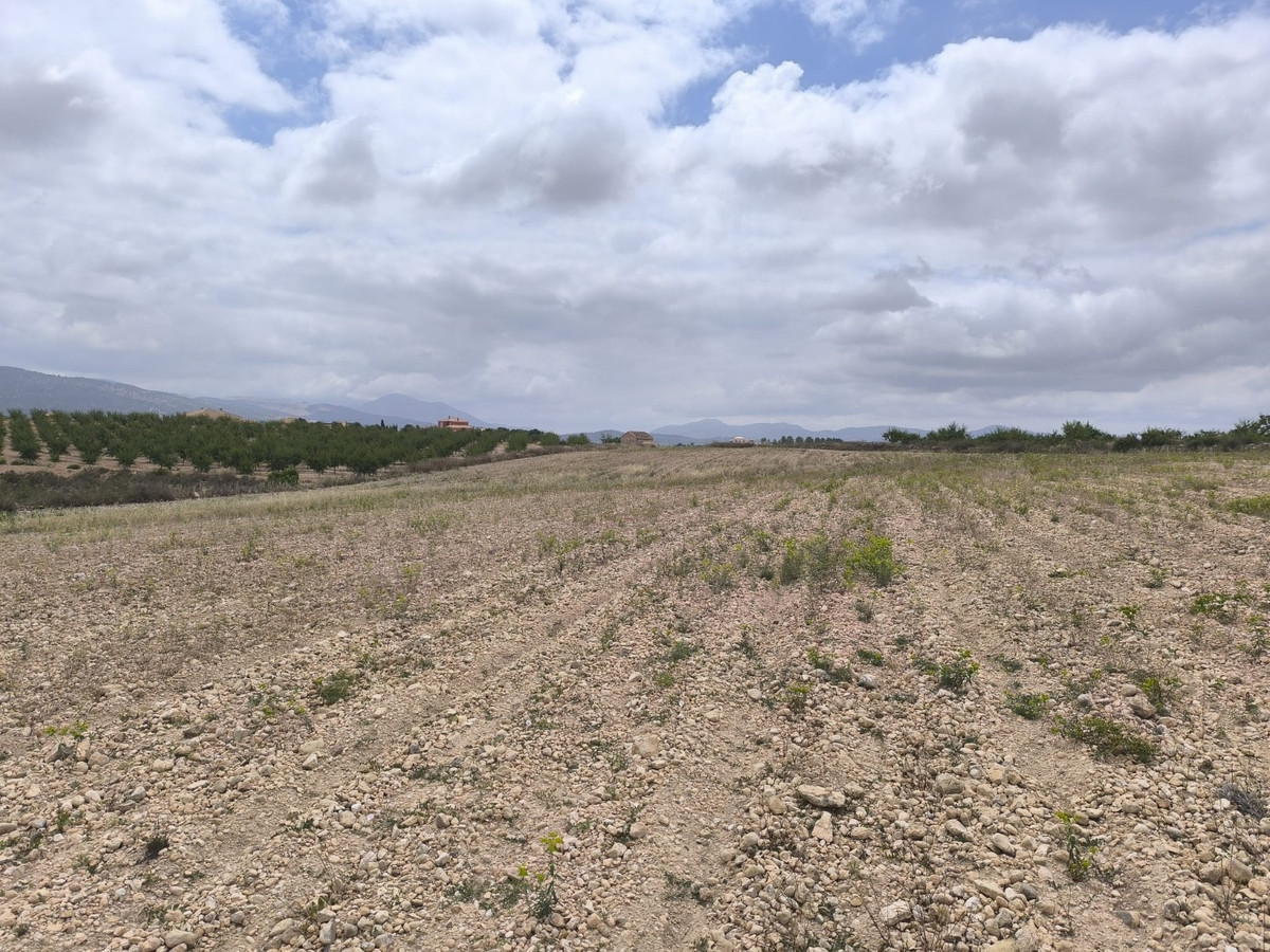Property main view 6