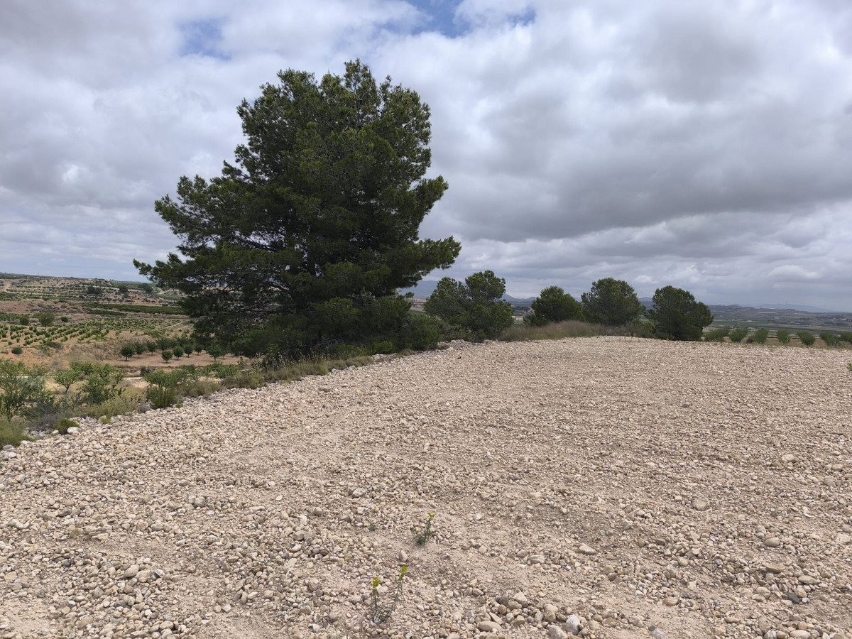 Property main view 9