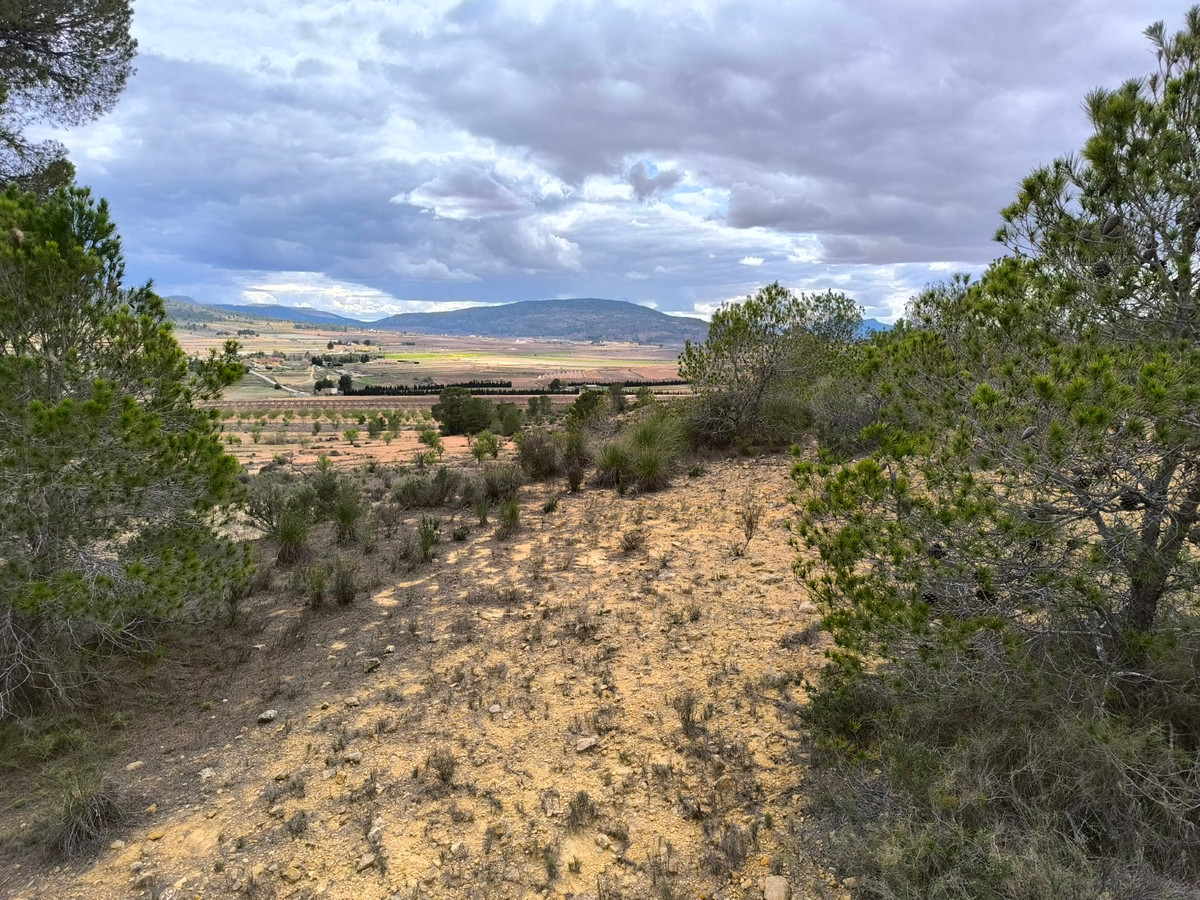 Property main view 7