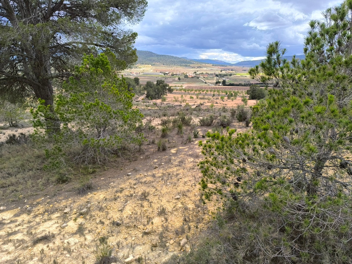 Property main view 8