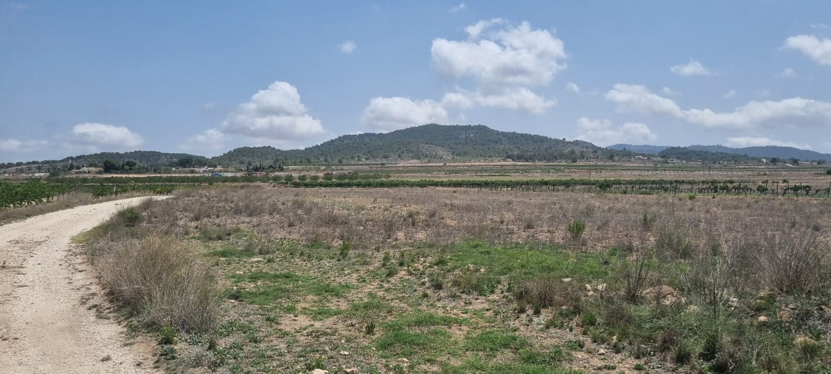 Grond te koop in Pinoso | 0 slaapkamers H5438971