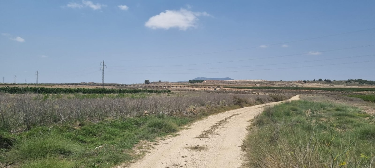 Grond te koop in Pinoso | 0 slaapkamers H5438971