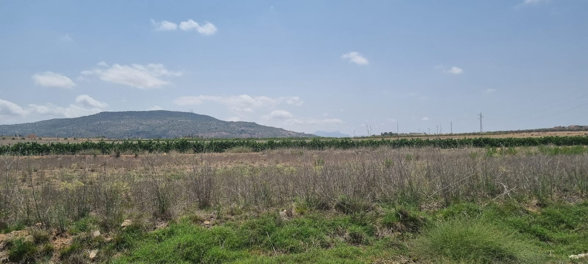 Grond te koop in Pinoso | 0 slaapkamers H5438971