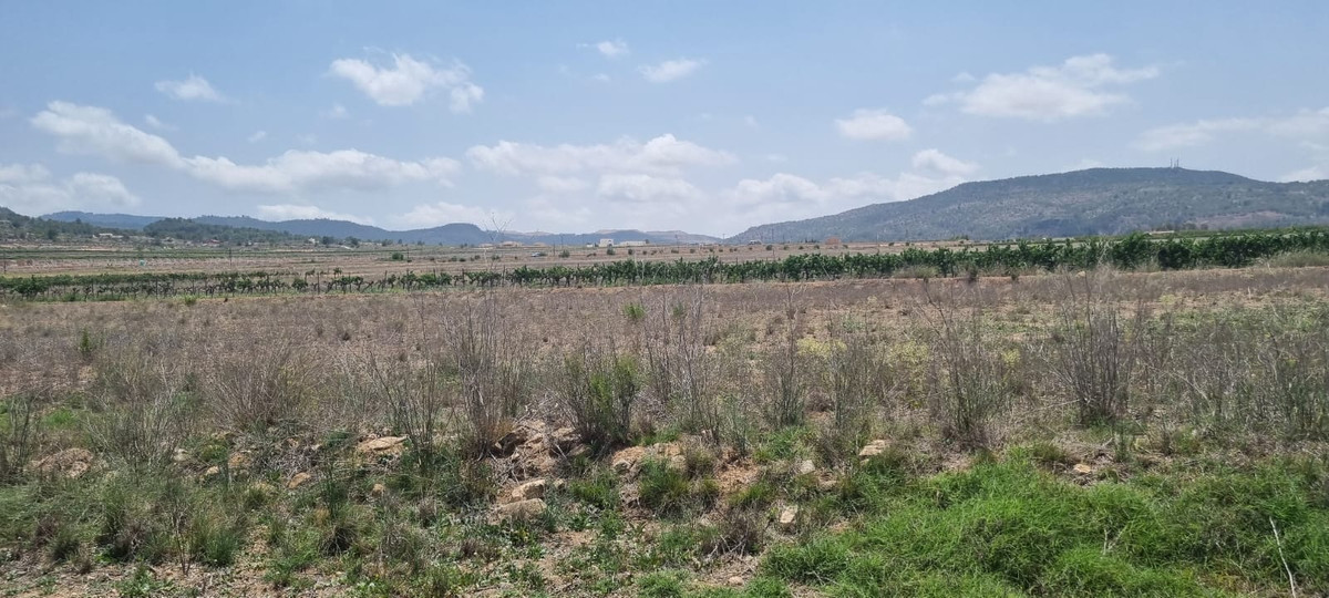 Grond te koop in Pinoso | 0 slaapkamers H5438971