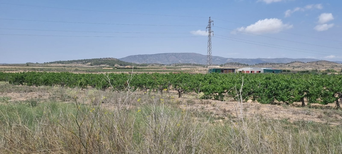 Grond te koop in Pinoso | 0 slaapkamers H5438971