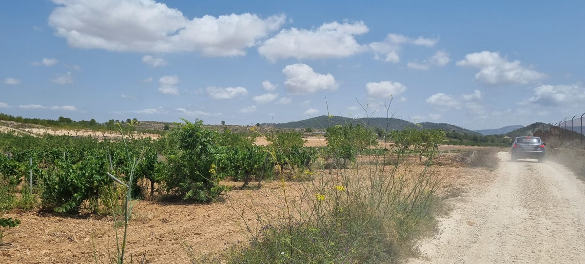 Property main view 8