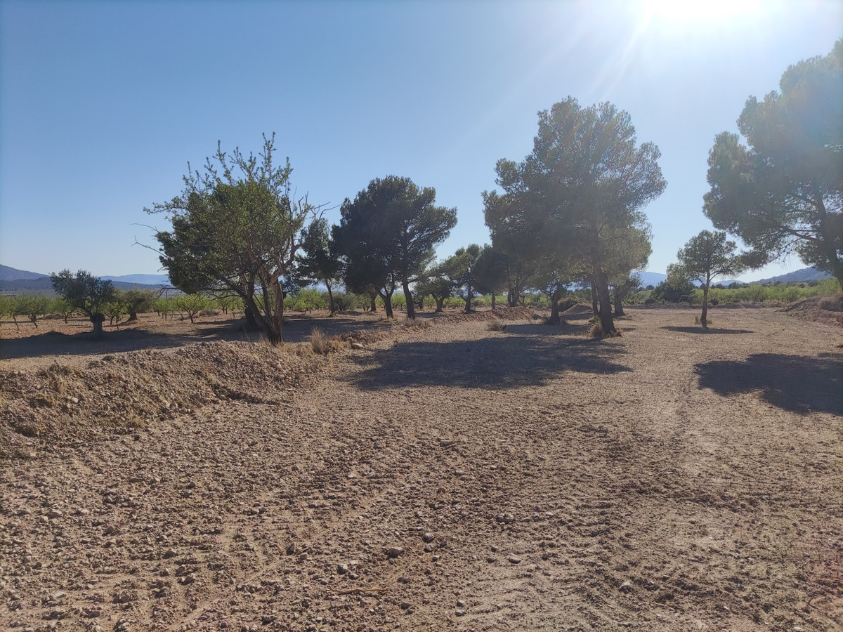 Property main view 10