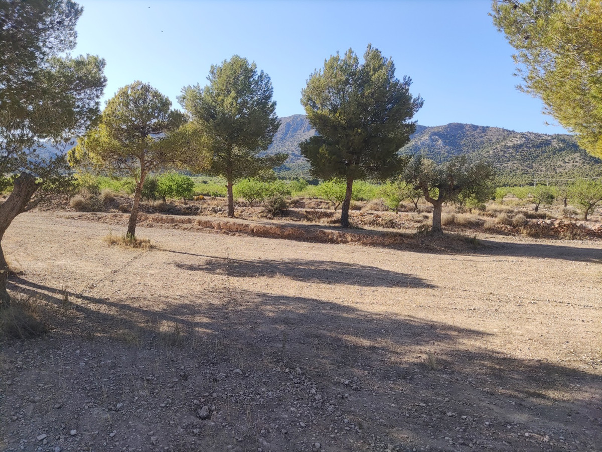 Property main view 2