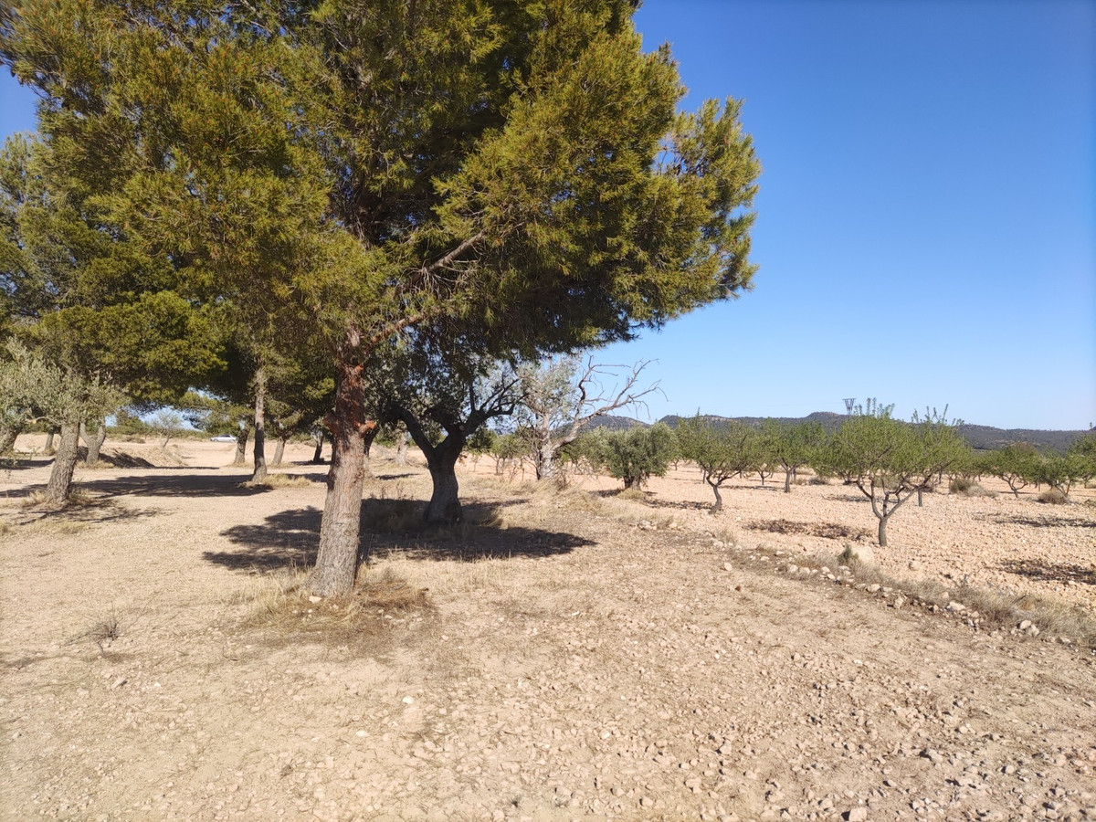 Property main view 5