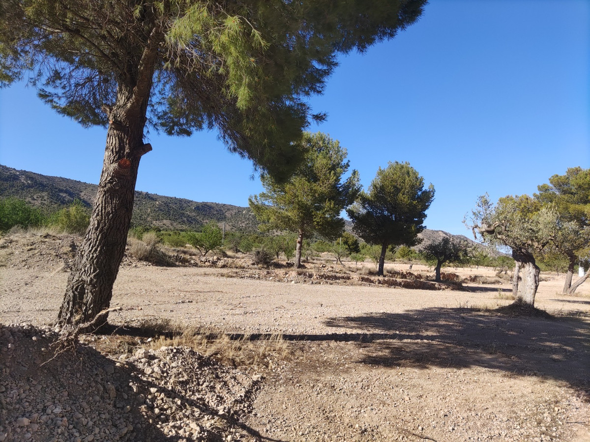 Property main view 7