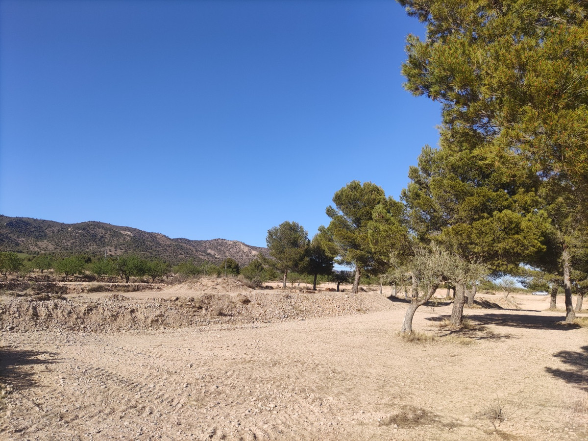 Property main view 8