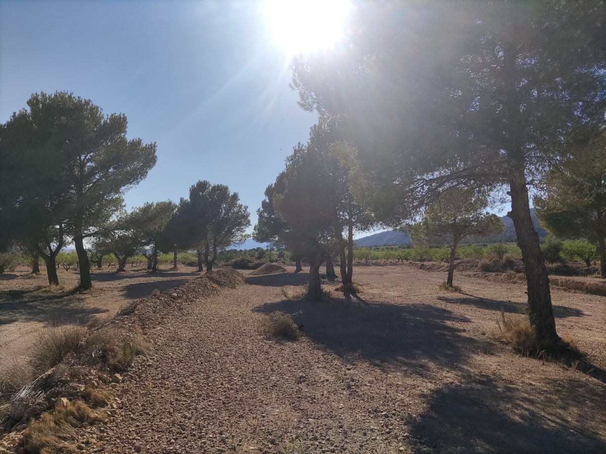Property main view 9