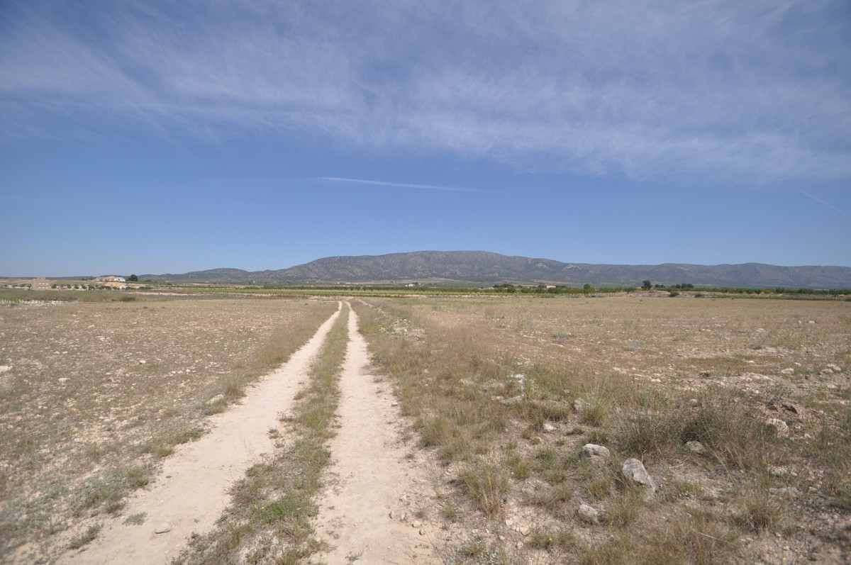 Grond te koop in Pinoso | 0 slaapkamers H5508703