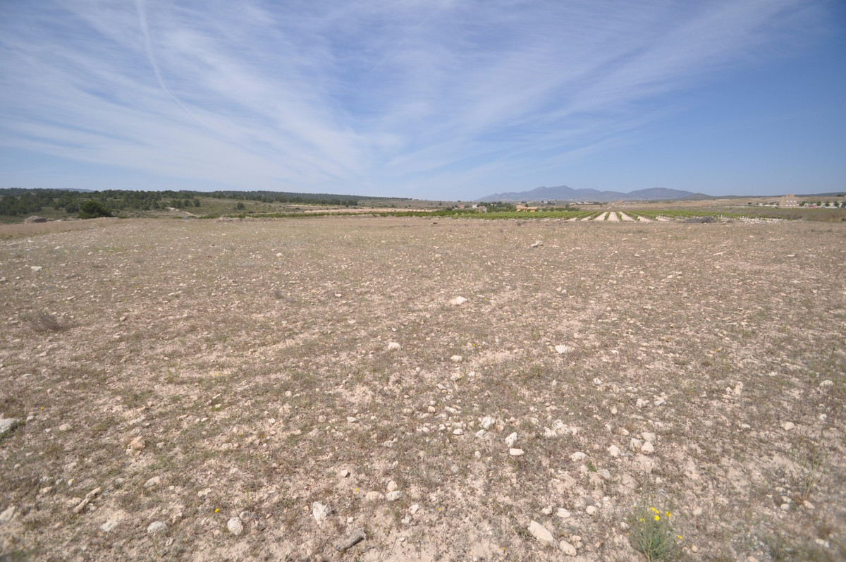 Grond te koop in Pinoso | 0 slaapkamers H5508703