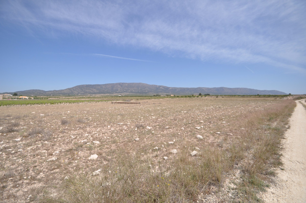 Grond te koop in Pinoso | 0 slaapkamers H5508703