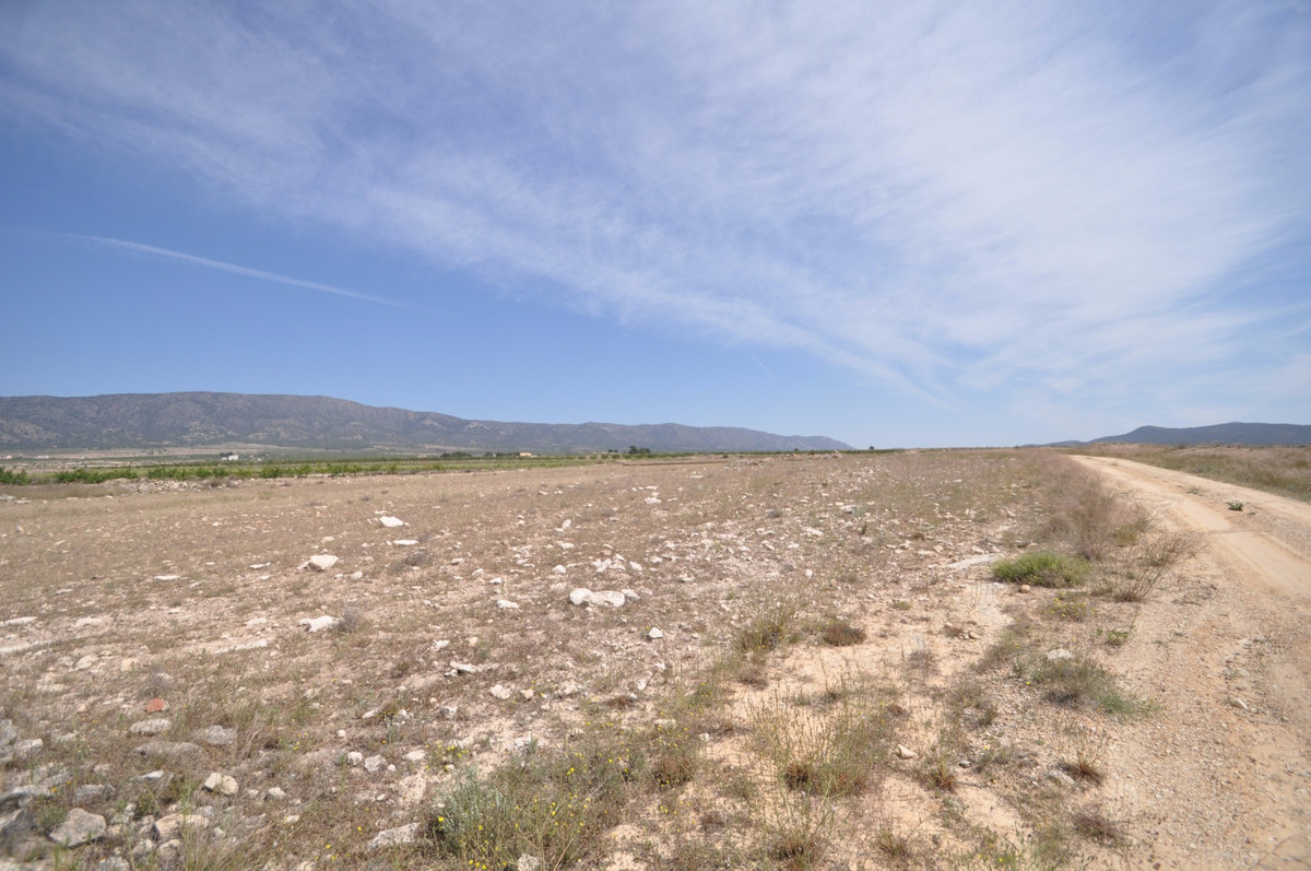 Grond te koop in Pinoso | 0 slaapkamers H5508703