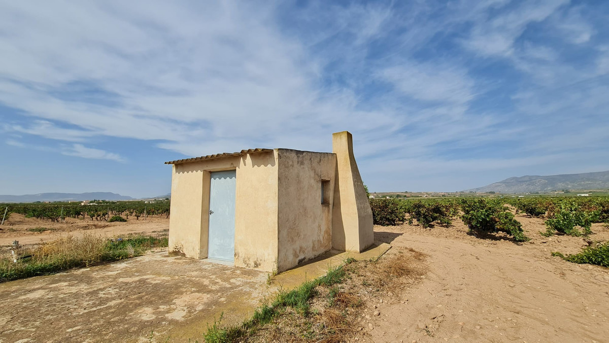 Grond te koop in Pinoso | 0 slaapkamers H5508751