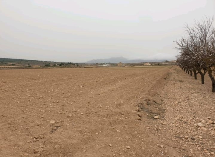 Property main view 1