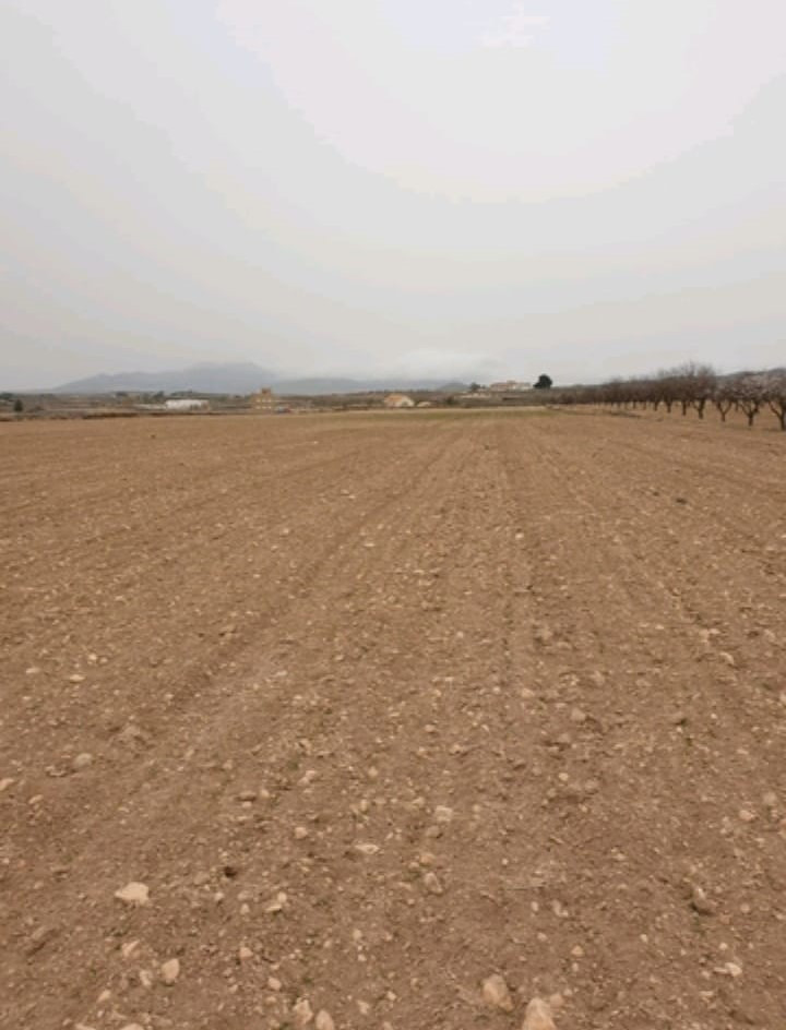 Property main view 5