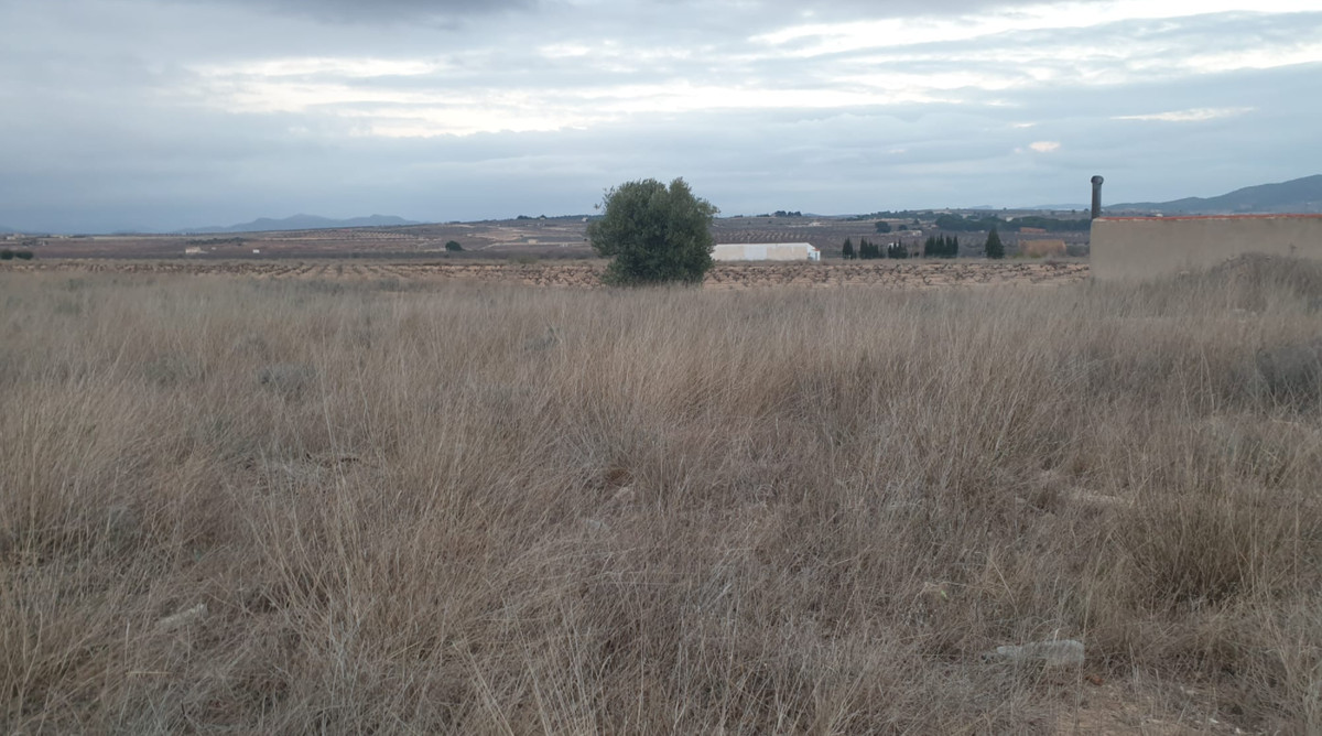 Grond te koop in Pinoso | 0 slaapkamers H5509033