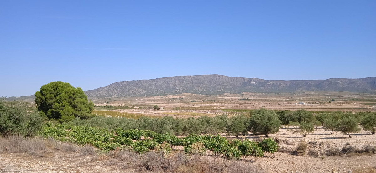 Property main view 6