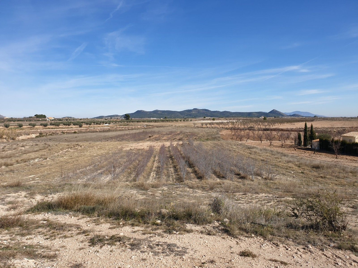 Property main view 5