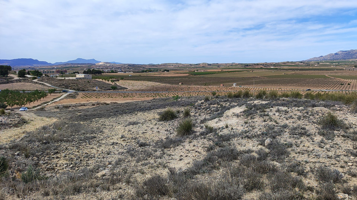 Property main view 13