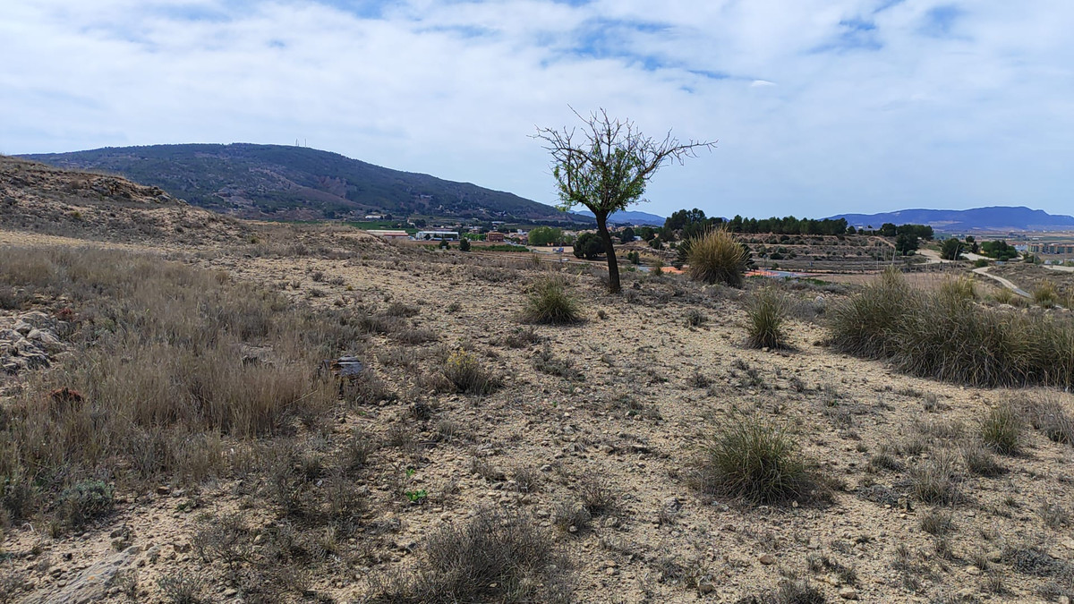 Property main view 15