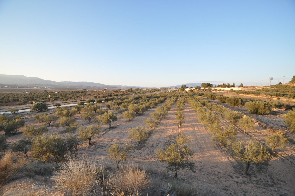 Property main view 2