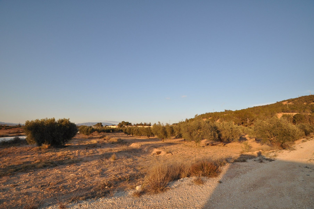 Property main view 4