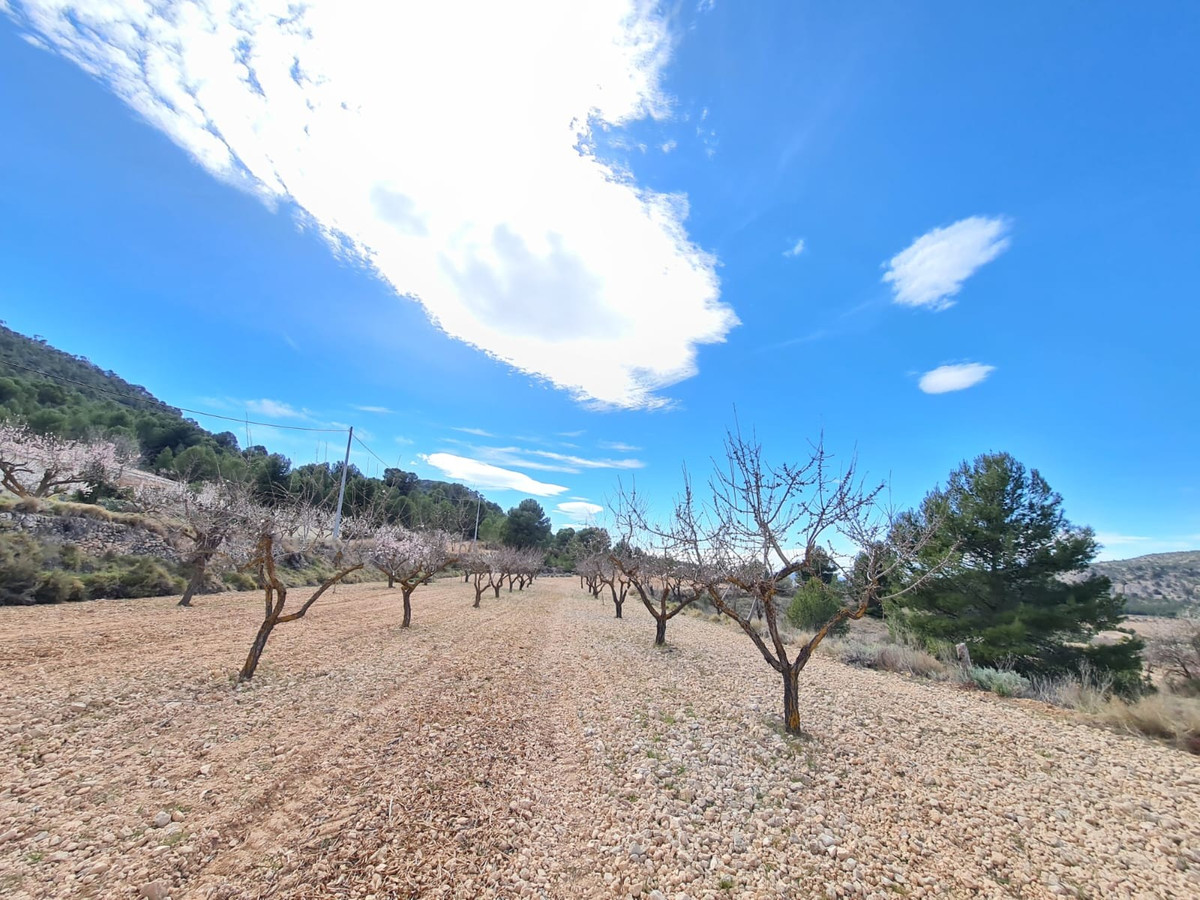 Property main view 13