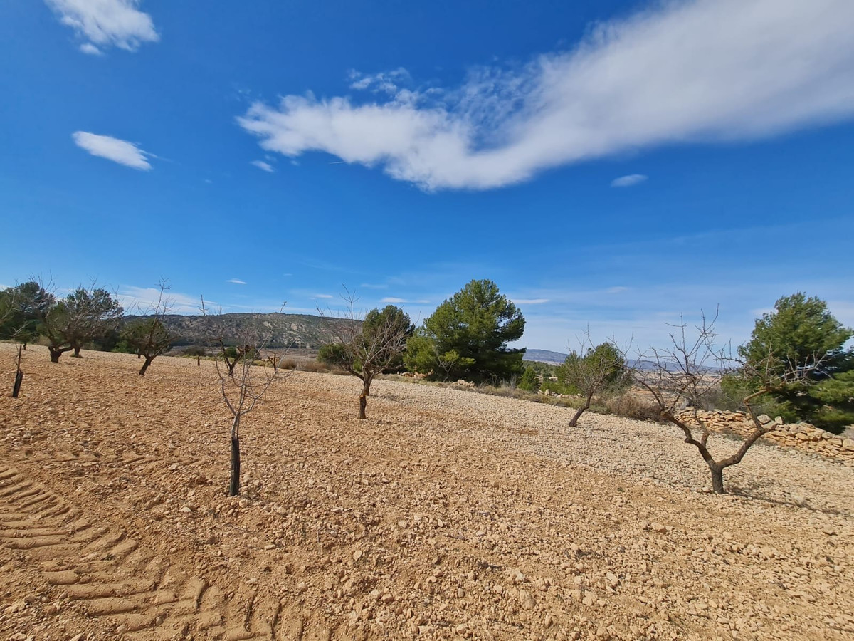 Property main view 15
