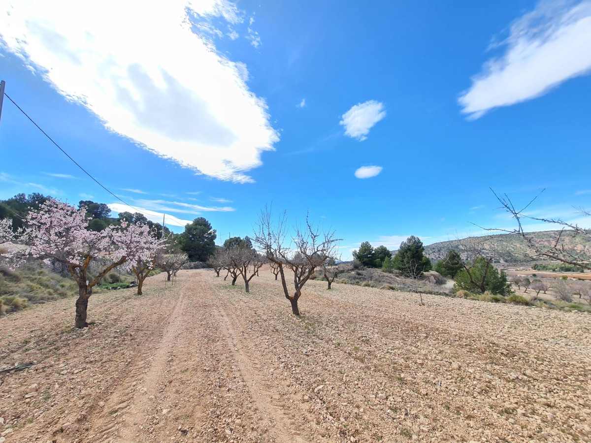 Property main view 16