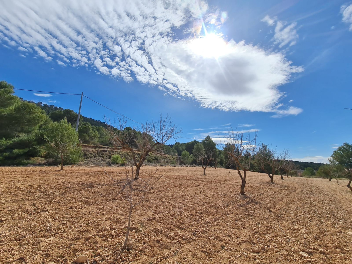 Property main view 19