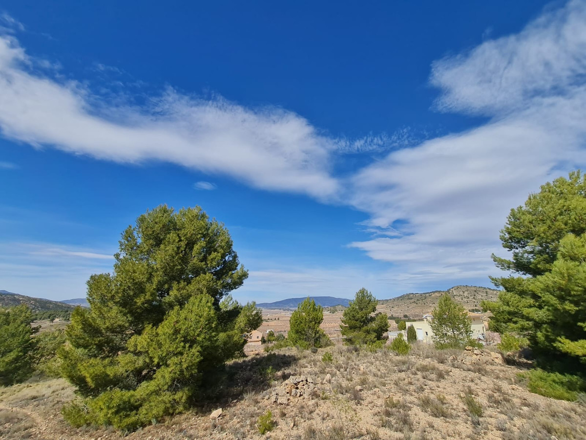 Property main view 6