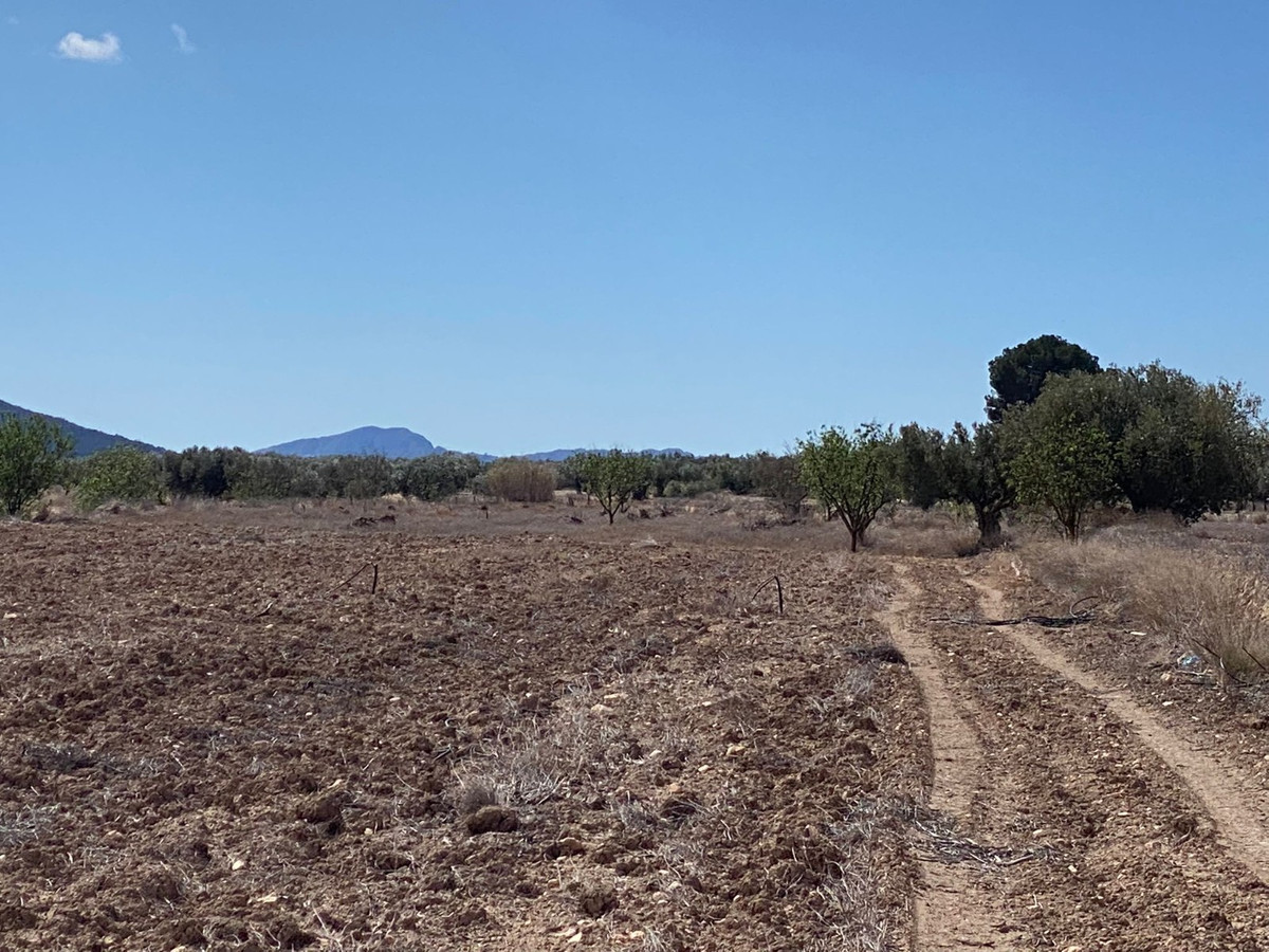 Property main view 9