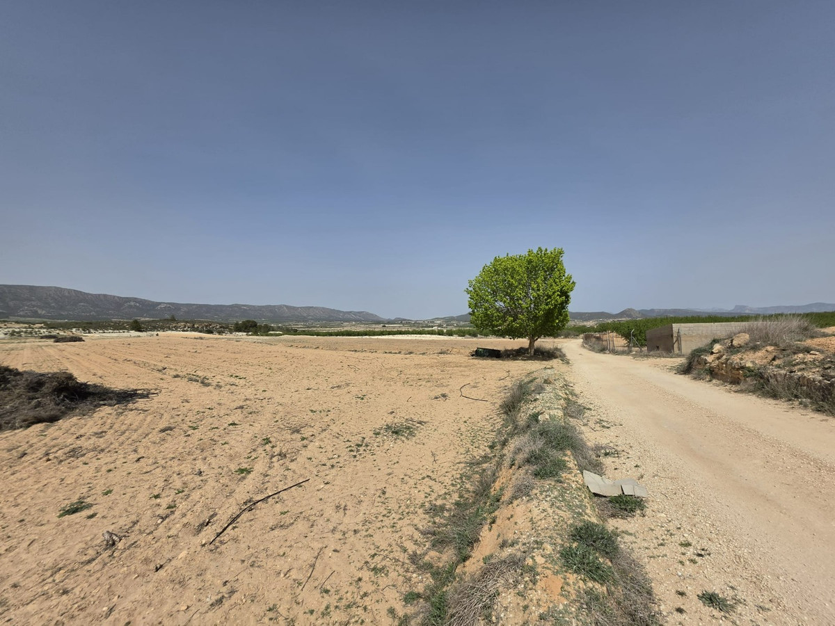 Property main view 1