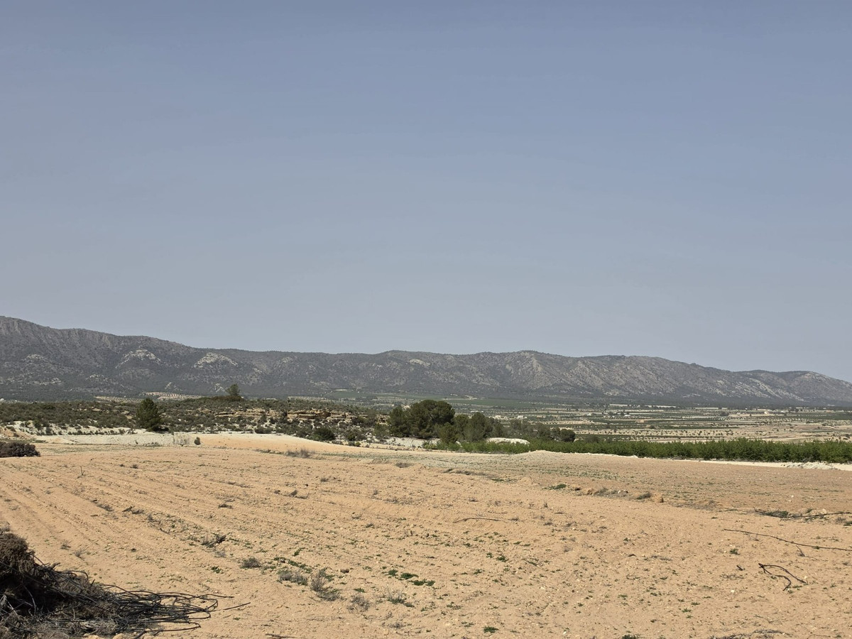 Property main view 9