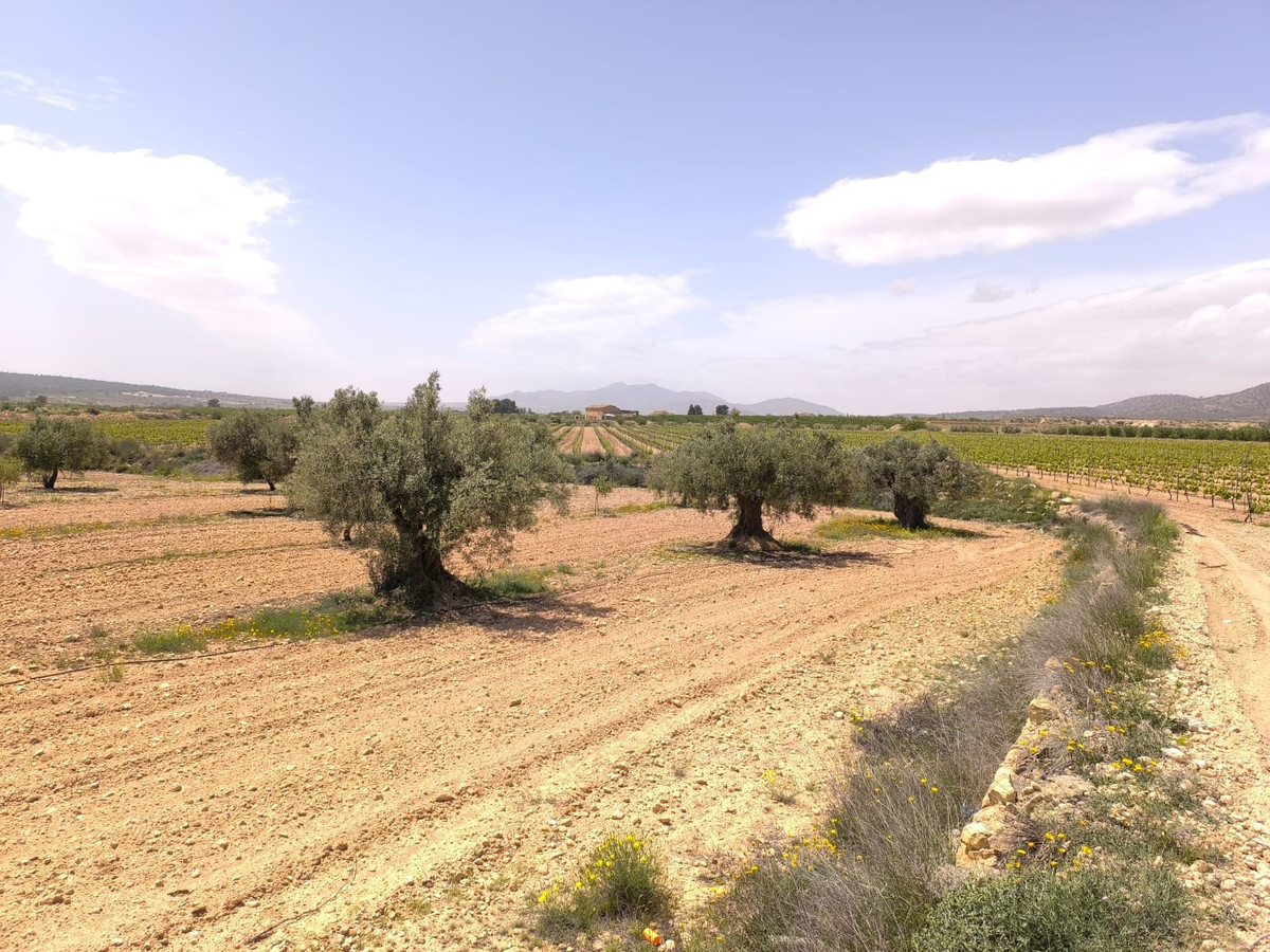 Property main view 1