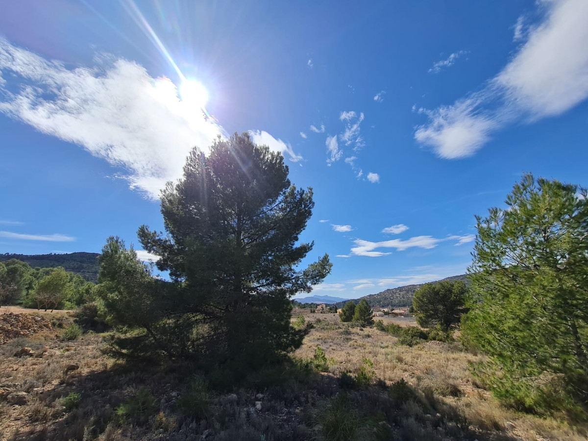 Grond te koop in Pinoso | 0 slaapkamers H5510383