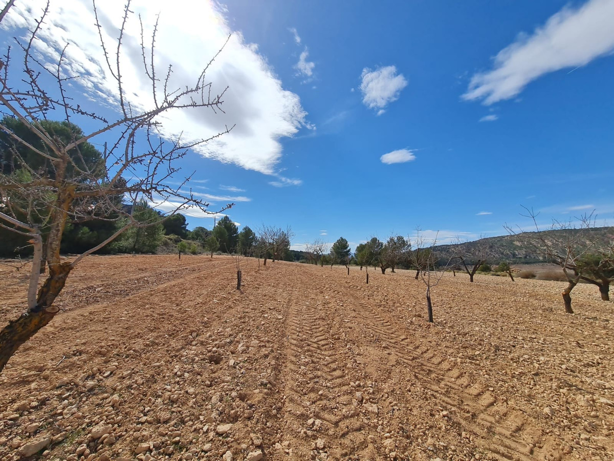 Grond te koop in Pinoso | 0 slaapkamers H5510383