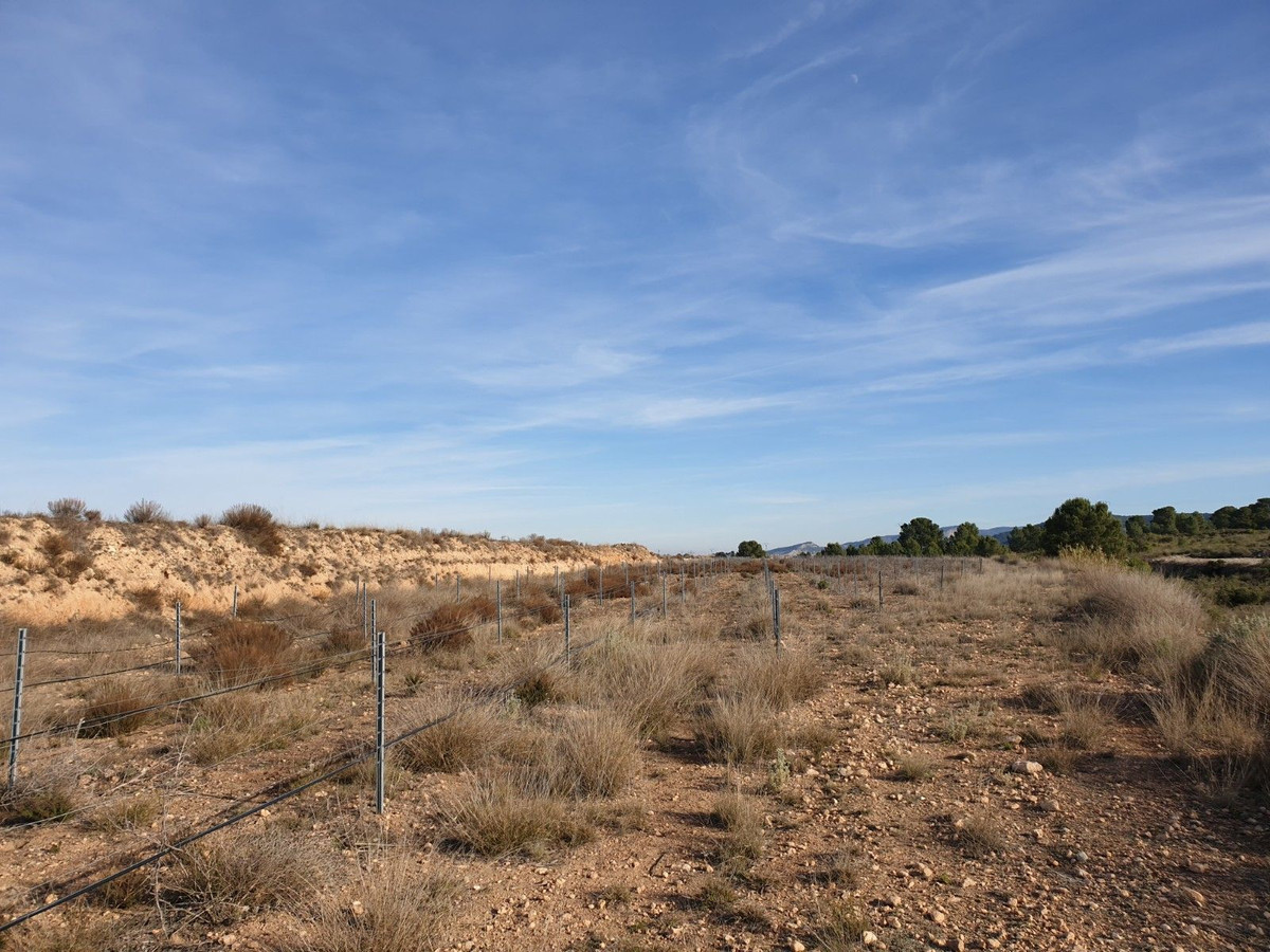 Property main view 10