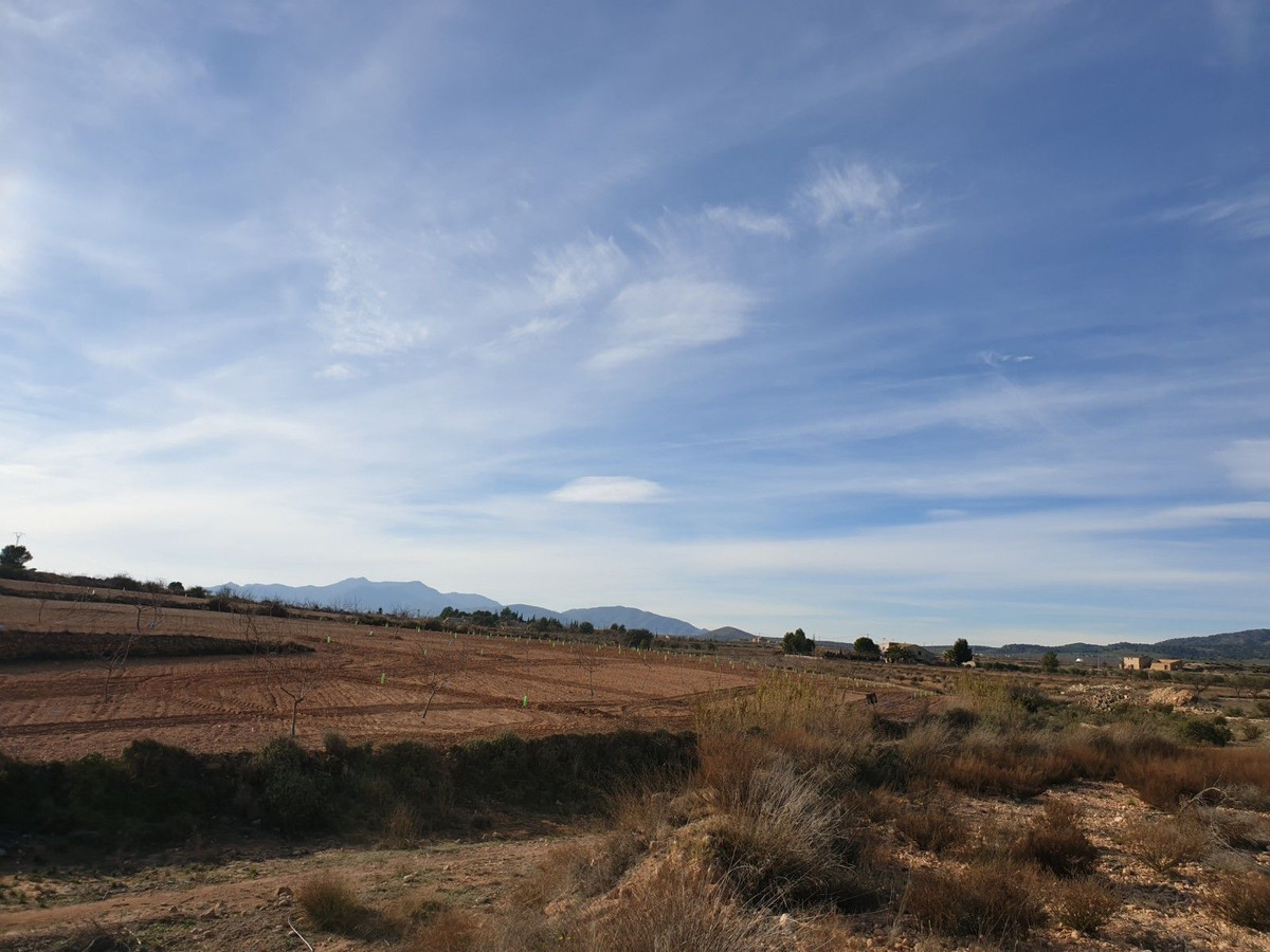Property main view 11