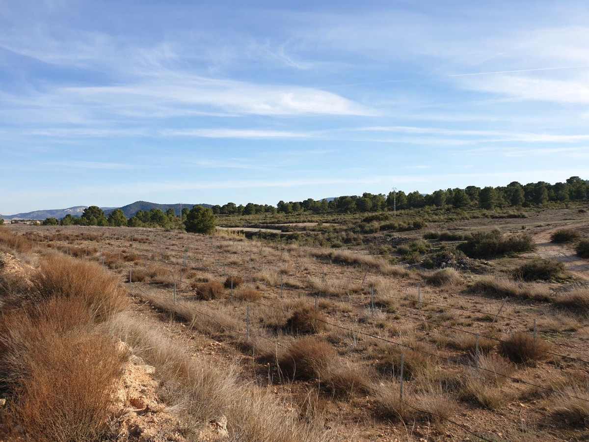 Property main view 12