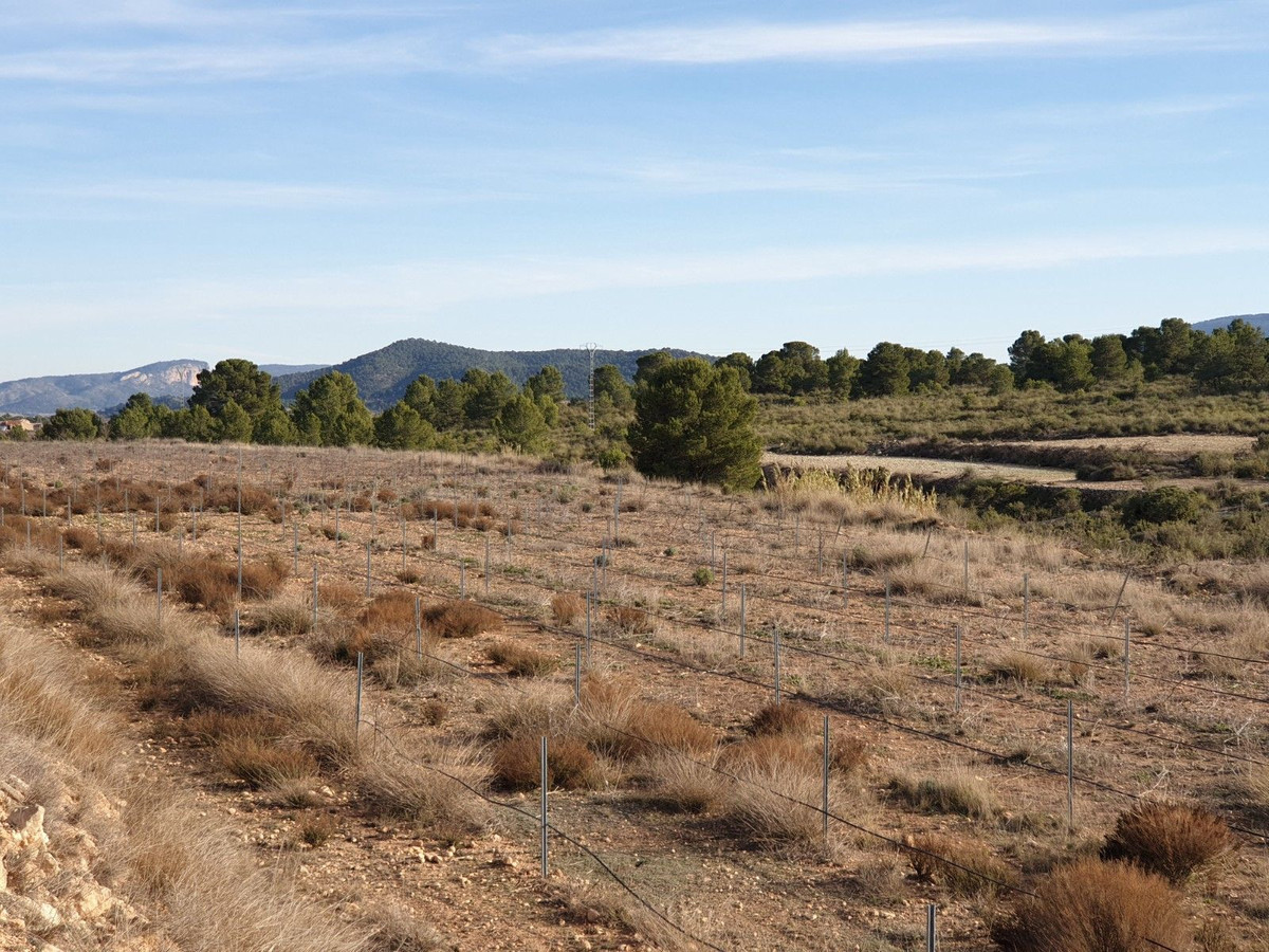 Property main view 14