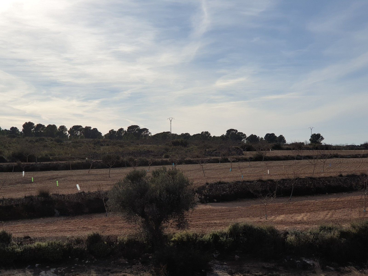 Property main view 15