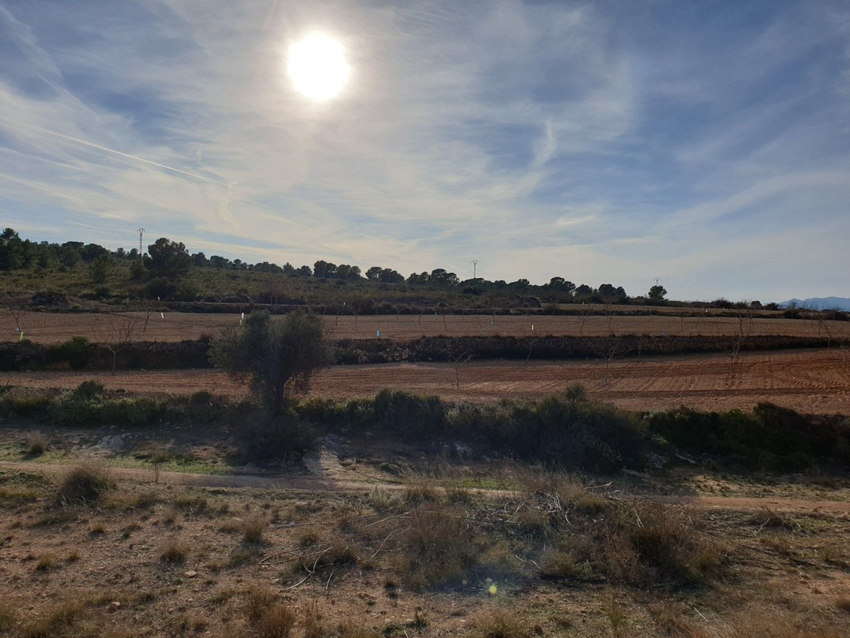 Property main view 5