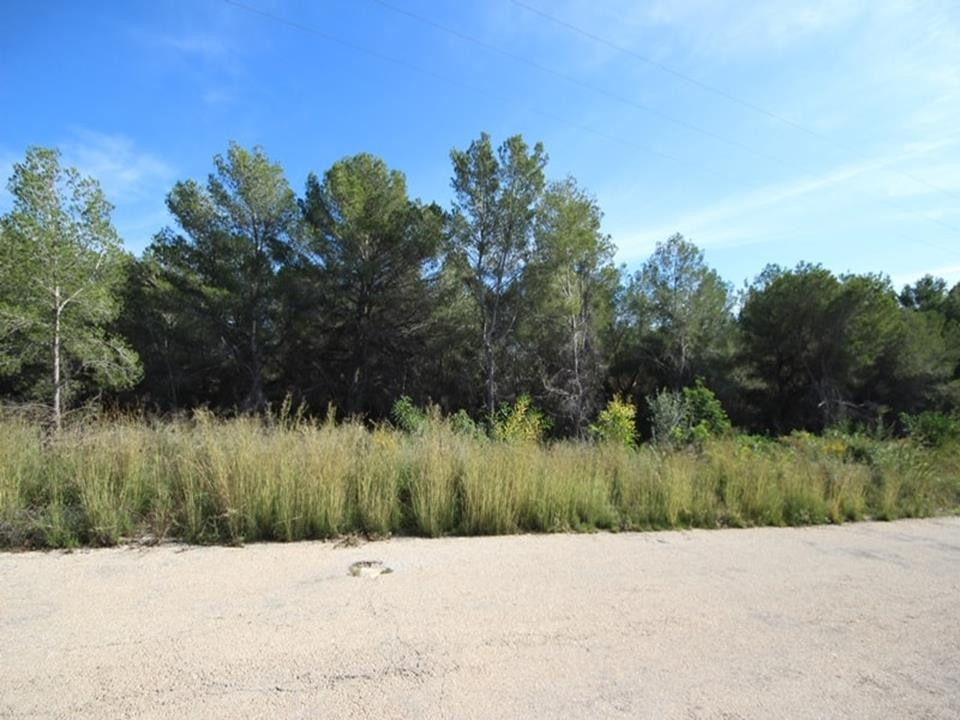 Property main view 3