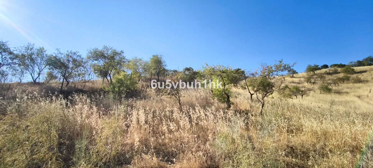 Property main view 11